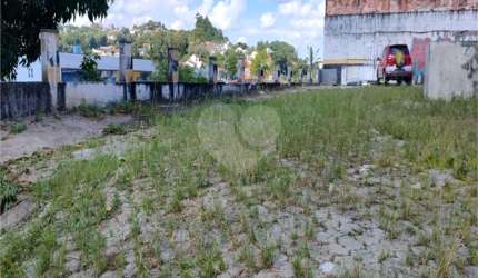 Terreno à venda em Vila Albertina - SP