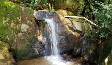 Sítio com 4 quartos à venda em Parque Petrópolis - SP
