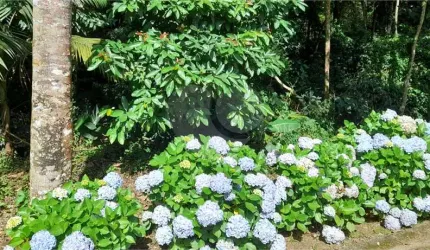 Terreno à venda em Roseira - SP
