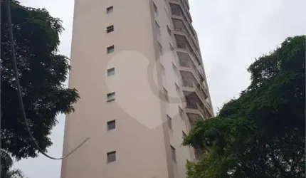 Apartamento com 3 quartos à venda em Vila Paulicéia - SP
