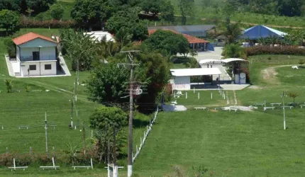 Sítio Venda no Bairro Germana em Caçapava