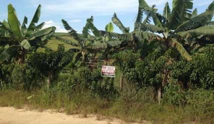 Sítio a Venda no Guamirim em Caçapava