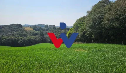 Chácara para venda em Capela Velha de 20000.00m² com 1 Quarto