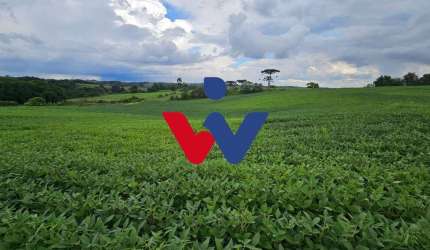 Fazenda / Sítio para venda em Campo Magro de 48400.00m² com 1 Quarto