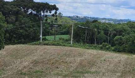 Casa para venda em Vila David Antônio de 20600.00m² com 1 Quarto
