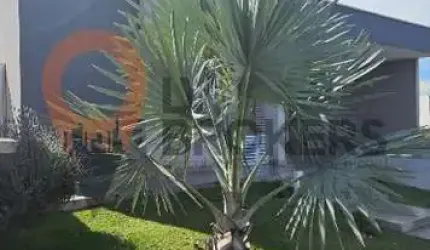 Casa para venda em Condominio Mosaico Essence de 327.00m² com 3 Quartos, 1 Suite e 4 Garagens