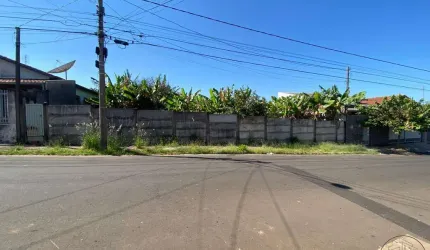 Terreno para venda em Vila Antártica de 550.00m²