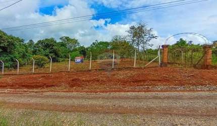 Terreno para venda em Pardinho de 5066.00m²