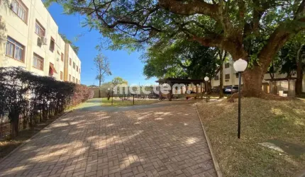 Apartamento para venda em Jardim Castelo Branco de 80.00m² com 3 Quartos e 2 Garagens