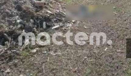 Terreno para venda em Vila Albertina de 350.00m²