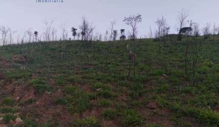 Terreno para venda em Botujuru (botujuru) de 20456.00m²