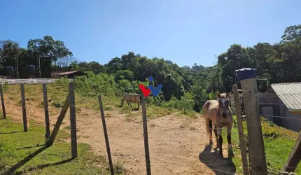 Chácara para venda em Contenda de 4361.00m² com 1 Quarto e 6 Garagens