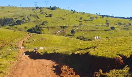 Lote / Terreno para venda em Centro de 7040000.00m² com 1 Quarto