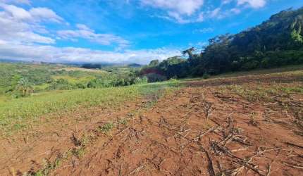 Fazenda / Sítio para venda em Cajuru de 6500000.00m² com 3 Quartos e 2 Suites
