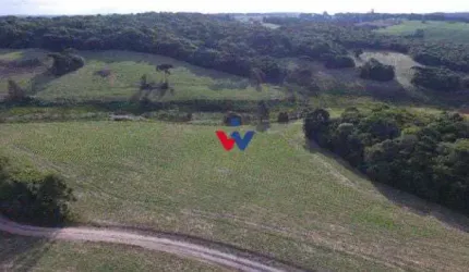 Chácara para venda em Lapa de 677600.00m² com 2 Quartos