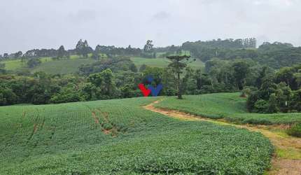 Chácara para venda em Contenda de 79000.00m² com 1 Quarto
