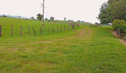 Lote / Terreno para venda em Dois Vizinhos de 1210000.00m² com 1 Quarto