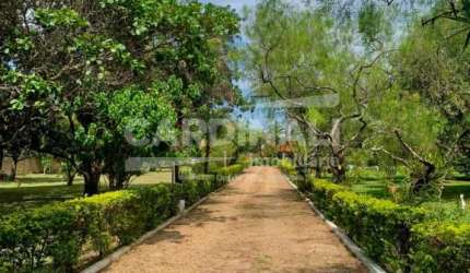 Fazenda / Sítio para venda em Tibaia De São Fernando de 380.00m² com 3 Quartos, 1 Suite e 1 Garagem