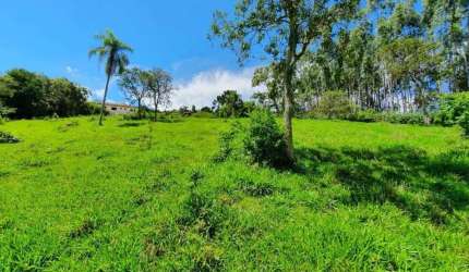 Fazenda / Sítio para venda em Vila Rica de 3600.00m² com 4 Quartos, 4 Suites e 5 Garagens