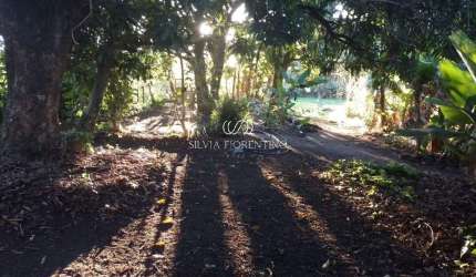 Terreno para venda em Vila Nossa Senhora Das Graças de 1770.00m²