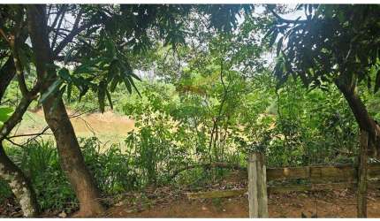 Chácara para venda em Núcleo Urbano Bom Jardim de 92.45m² com 2 Quartos e 10 Garagens