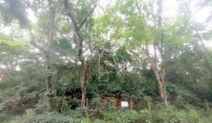 Terreno en Condomínio para venda em Granja Viana - Fazendinha - Km 23 de 2344.00m²