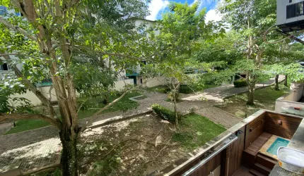 Apartamento dos Passarinhos
