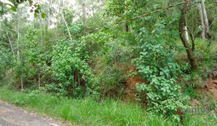 Terreno à venda de 596 m² no Bosque dos Eucalíptos em Atibaia/SP - TE0726
