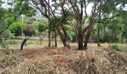 Terreno à venda de 594 m² no Jardim Paulista em Atibaia/SP - TE1003