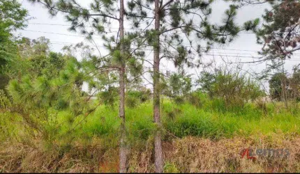 Terreno à venda, no bairro Chácaras Fernão Dias - Atibaia/SP - TE1874