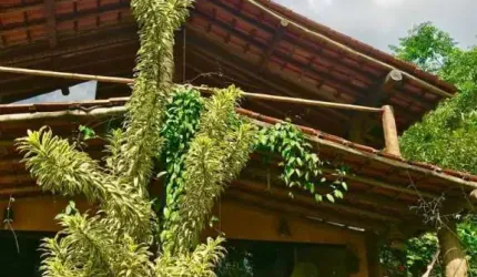 CASA MARAVILHOSA EM MEIO A NATUREZA COM CACHOEIRA