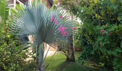Linda casa em Condomínio de 365m², com 3 dormitórios sendo 1 suíte na praia das Toninhas !