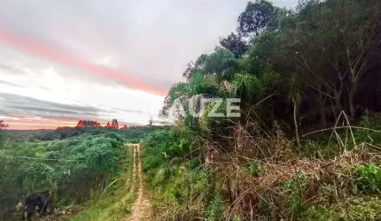 Excelente Oportunidade !!!Chácara à venda, Colônia Murici, São José dos Pinhais, PR