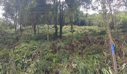 Aceita financiamento Terreno ZR-1 a venda à 150 metros da R. Antônio Johnson