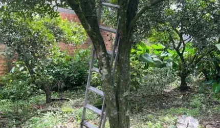 Oportunidade de Investimento: Terreno Estratégico e Versátil para Projetos de Alto Retorno