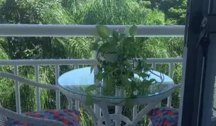 Apartamento para Venda em Rio de Janeiro, Freguesia (Jacarepaguá), 3 dormitórios, 1 suíte, 2 banheiros, 1 vaga
