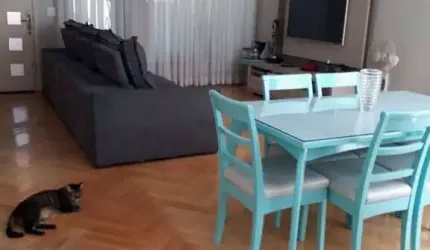 Sobrado com 3 dormitórios à venda, 220 m² por R$ 950.000,00 - Vila Mussolini - São Bernardo do Campo/SP