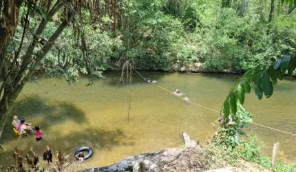 chacara 5 hectare a venda codigo: 92135