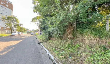Terreno à venda em Novo Hamburgo, Rondônia, com 300 m²