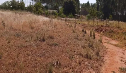 Sítio com tanque para peixes próximo á Uberlândia-MG, medindo 18,4194 hectares ou seja, 3,80 alqueires;