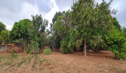 Chácaras em Uberlândia - MG com 10.000 m² no Bairro Parque das Américas;