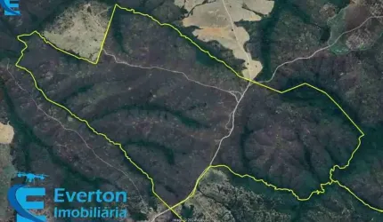 Fazenda contendo 94.76 Alqueires no Município de Campo Alegre de Goiás - GO;