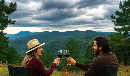 1 hectare próximo de Gramado RS área ao lado do templo budista bela vista