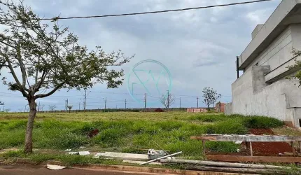 Terreno à venda, Vila Salomé, Cambé, PR