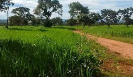 Vendo fazenda próximo a cidade de Jangada MT