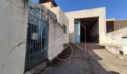 Comercial GalpãoBarracão em Marília