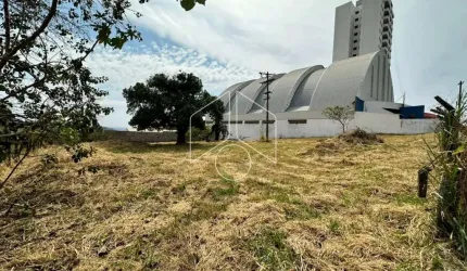 Terreno Área em Marília