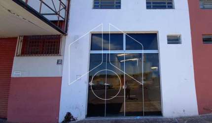 Comercial GalpãoBarracão em Marília