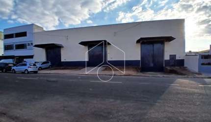 Comercial GalpãoBarracão em Marília