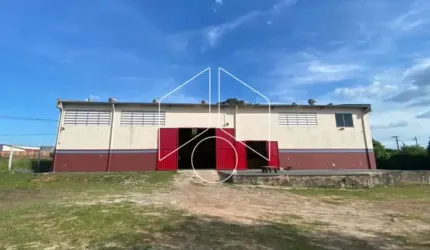 Comercial GalpãoBarracão em Marília